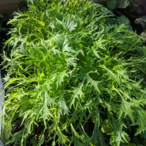 img_20181028_174508_829