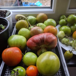 img_20181028_174631_940