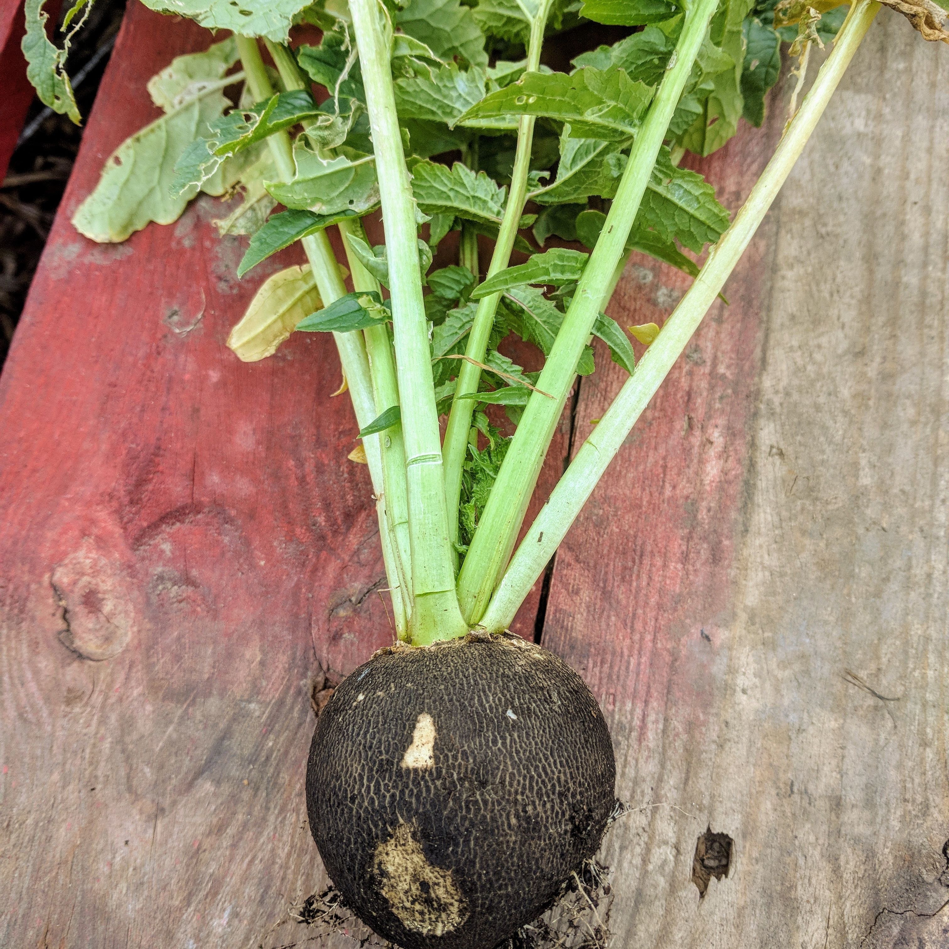 img_20181103_180338_974