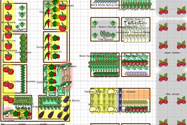 Allotment Planner