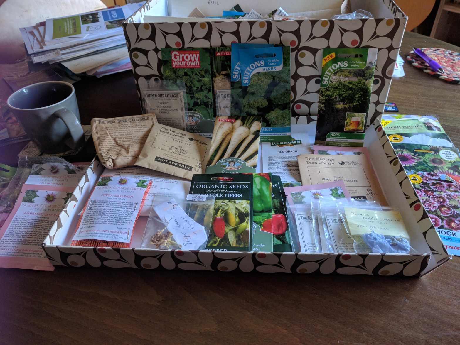 Seeds for sowing in February